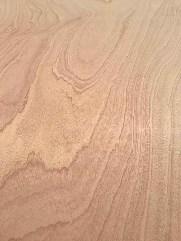 sapelli3